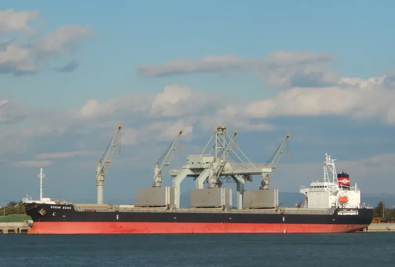 OCEAN ECHO Bulk Carrier IMO 9643312