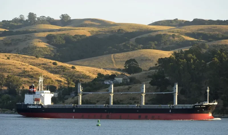 OCEAN ECHO Bulk Carrier IMO 9643312 photo 4