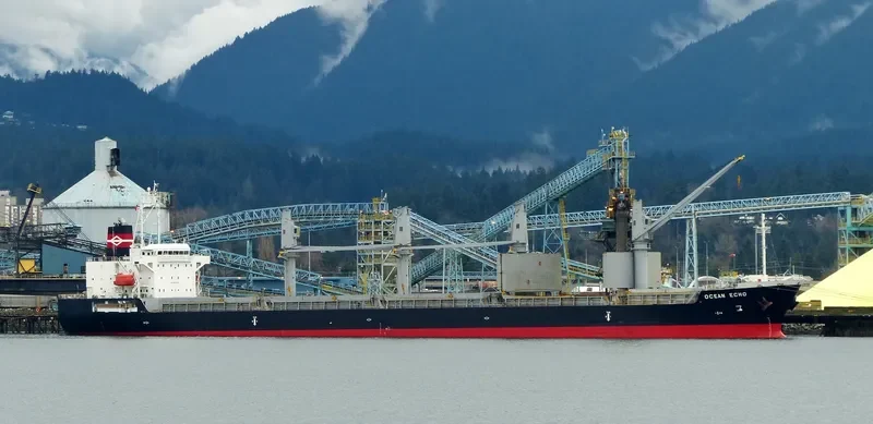 OCEAN ECHO Bulk Carrier IMO 9643312 photo 5
