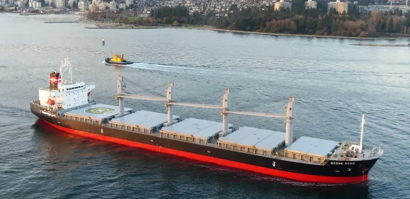 OCEAN ECHO Bulk Carrier IMO 9643312 photo 6