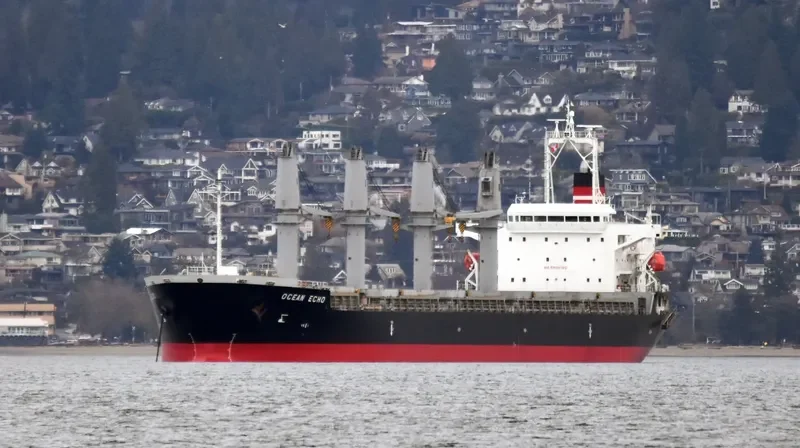 OCEAN ECHO Bulk Carrier IMO 9643312 photo 8