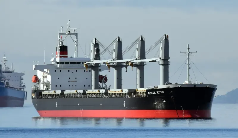 OCEAN ECHO Bulk Carrier IMO 9643312 photo 9