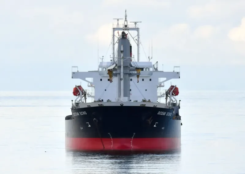 OCEAN ECHO Bulk Carrier IMO 9643312 photo 10