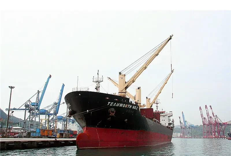 TEAMWORTH NO.2 Bulk Carrier IMO 9643477 photo 2