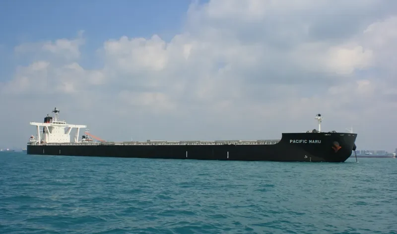 PACIFIC MARU Bulk Carrier IMO 9643506 photo 2
