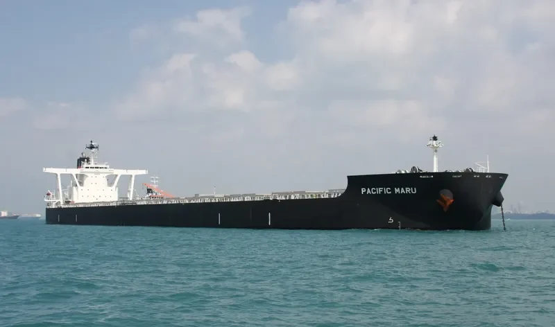 PACIFIC MARU Bulk Carrier IMO 9643506 photo 3