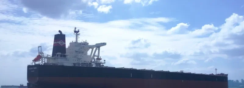 PACIFIC MARU Bulk Carrier IMO 9643506 photo 6