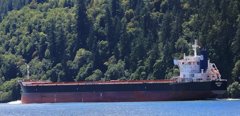 SAITA I Bulk Carrier IMO 9643544