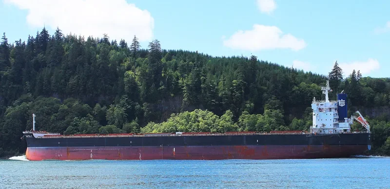 SAITA I Bulk Carrier IMO 9643544 photo 2