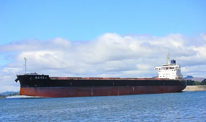 SAITA I Bulk Carrier IMO 9643544 photo 3