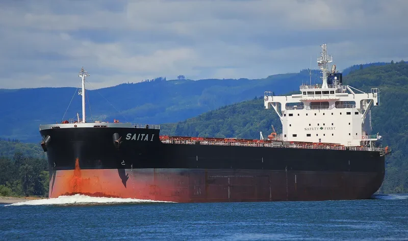 SAITA I Bulk Carrier IMO 9643544 photo 4