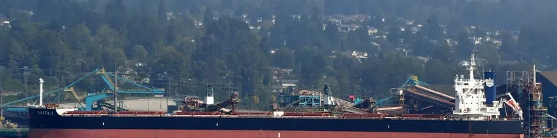 SAITA I Bulk Carrier IMO 9643544 photo 7