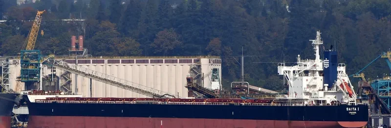 SAITA I Bulk Carrier IMO 9643544 photo 8