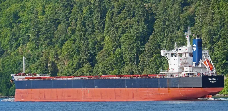 SAITA I Bulk Carrier IMO 9643544 photo 9