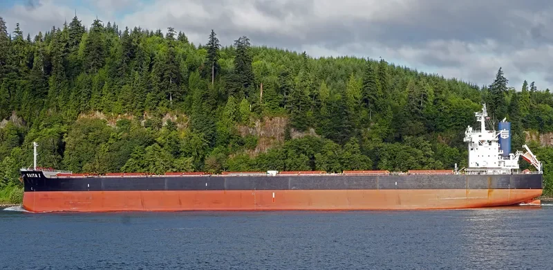 SAITA I Bulk Carrier IMO 9643544 photo 10