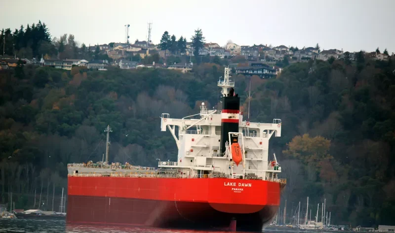 LAKE DAWN Bulk Carrier IMO 9643556 photo 7