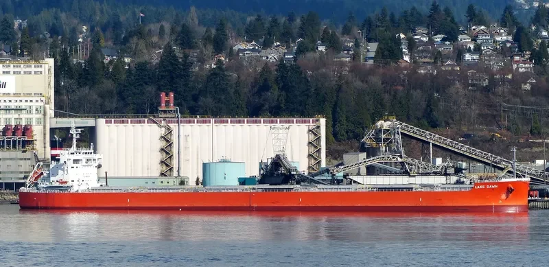 LAKE DAWN Bulk Carrier IMO 9643556 photo 8