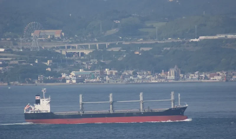 PACIFIC MELODY Bulk Carrier IMO 9643609