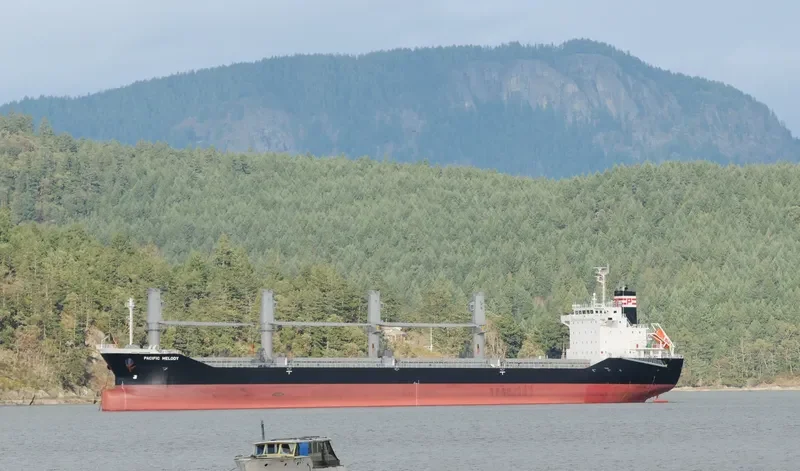 PACIFIC MELODY Bulk Carrier IMO 9643609 photo 2