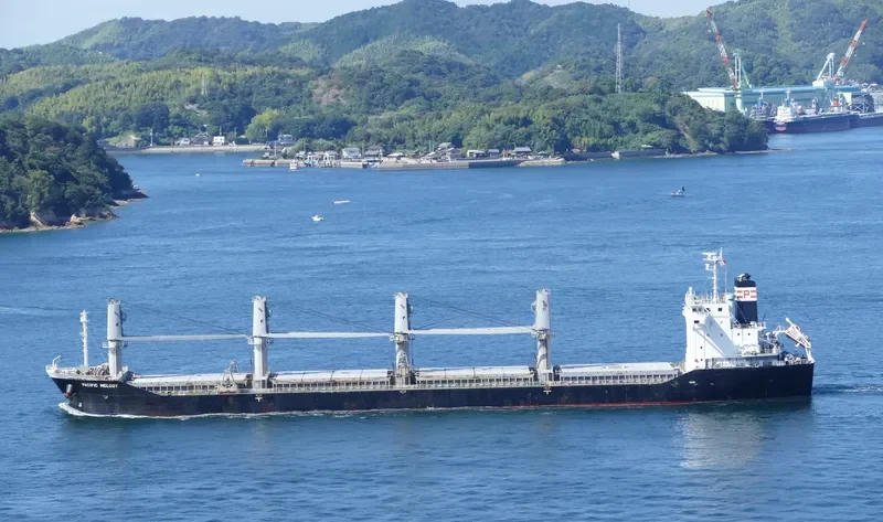 PACIFIC MELODY Bulk Carrier IMO 9643609 photo 3