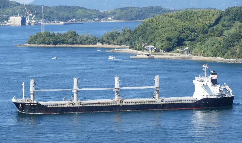 PACIFIC MELODY Bulk Carrier IMO 9643609 photo 4