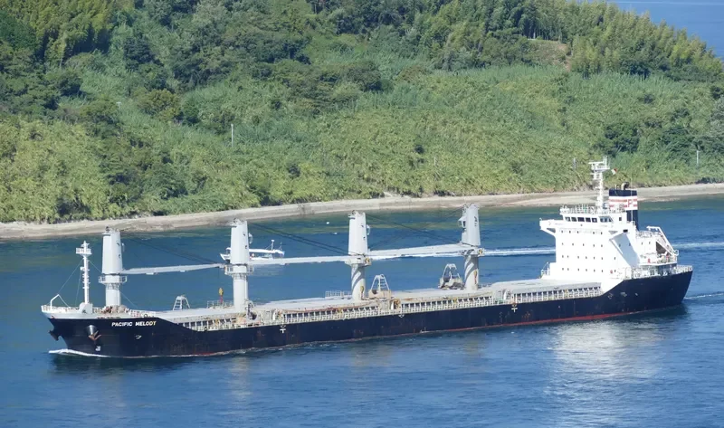 PACIFIC MELODY Bulk Carrier IMO 9643609 photo 5