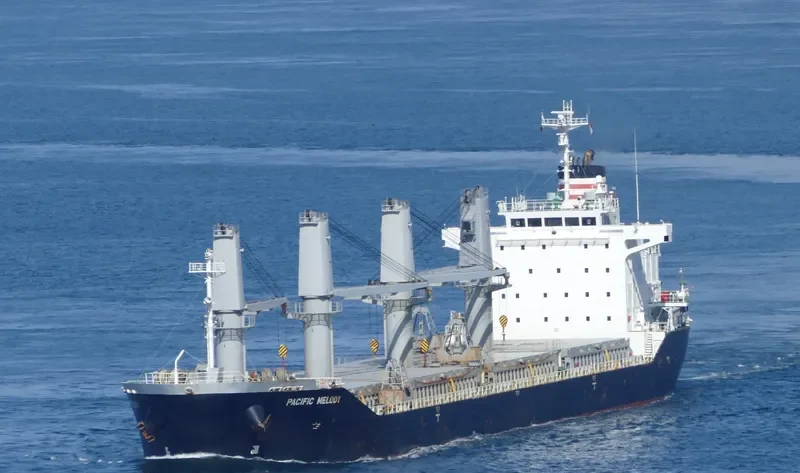 PACIFIC MELODY Bulk Carrier IMO 9643609 photo 7