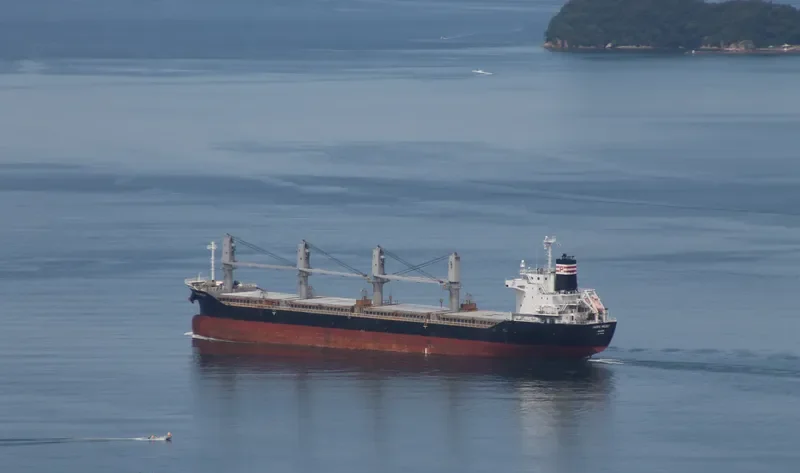 PACIFIC MELODY Bulk Carrier IMO 9643609 photo 8