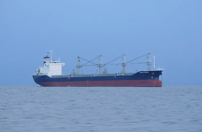 PACIFIC MELODY Bulk Carrier IMO 9643609 photo 10
