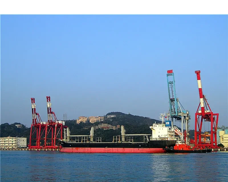 DIRECTION SW Bulk Carrier IMO 9643726 photo 2