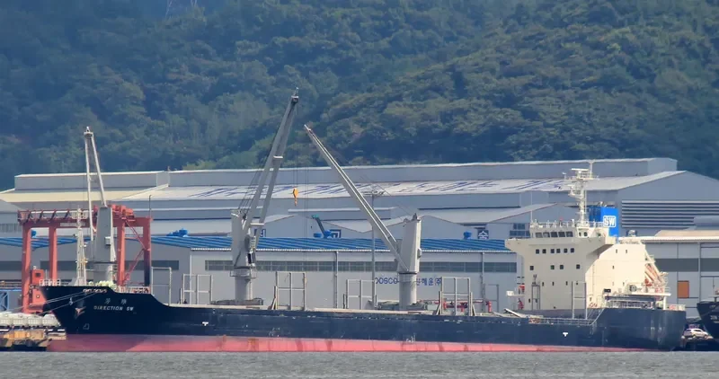 DIRECTION SW Bulk Carrier IMO 9643726 photo 7
