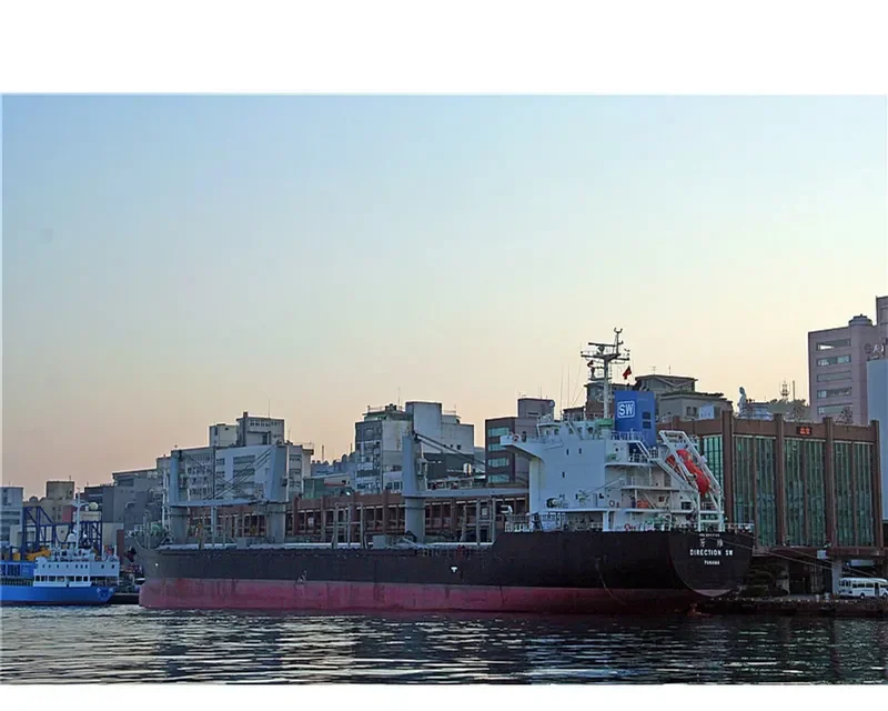 DIRECTION SW Bulk Carrier IMO 9643726 photo 9