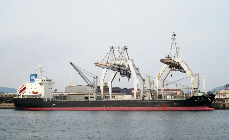 DIRECTION SW Bulk Carrier IMO 9643726 photo 10