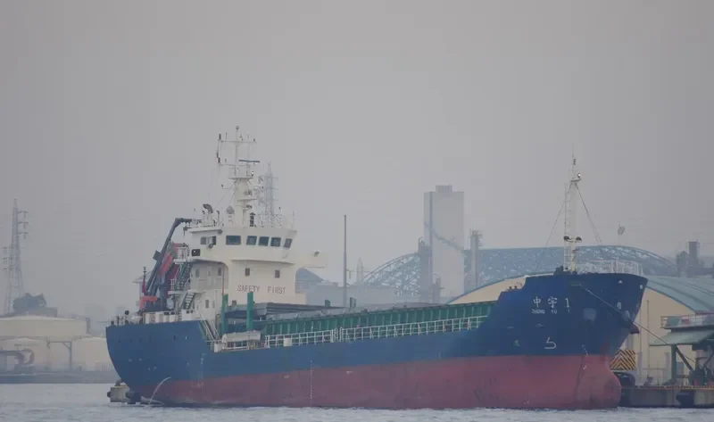 DE MI Bulk Carrier IMO 9643752