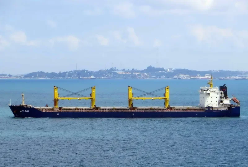 TAIBO Bulk Carrier IMO 9643790 photo 2