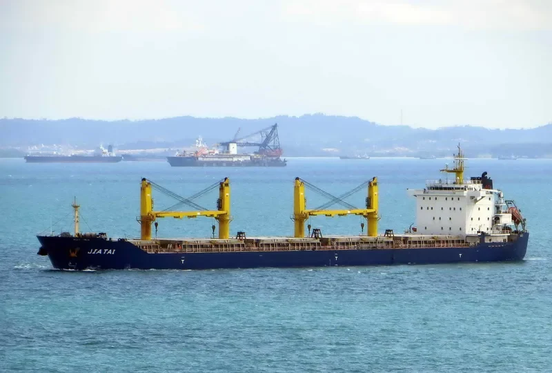 TAIBO Bulk Carrier IMO 9643790 photo 3