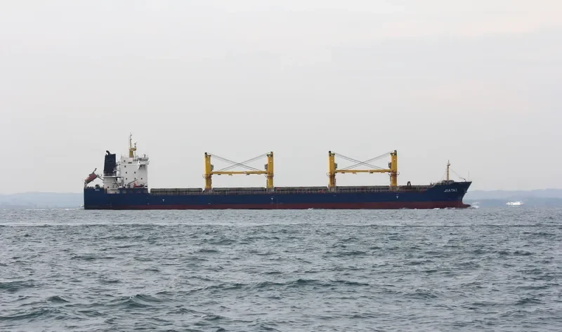 TAIBO Bulk Carrier IMO 9643790 photo 4