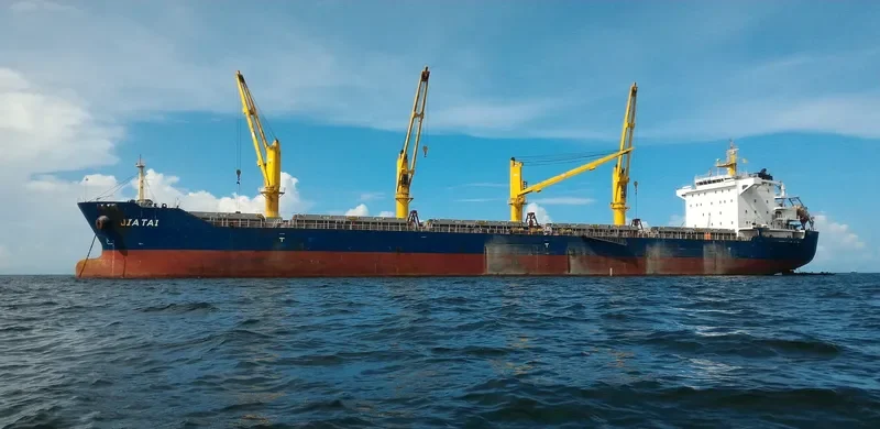 TAIBO Bulk Carrier IMO 9643790 photo 5