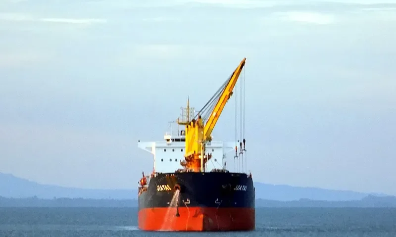 TAIBO Bulk Carrier IMO 9643790 photo 7