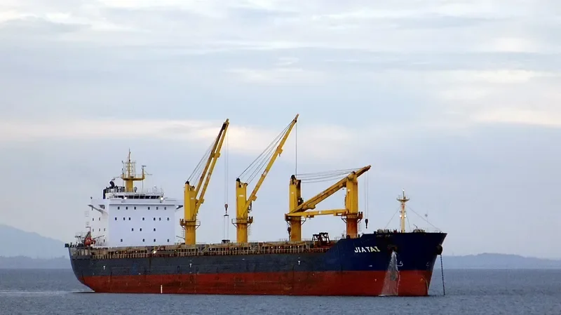 TAIBO Bulk Carrier IMO 9643790 photo 8