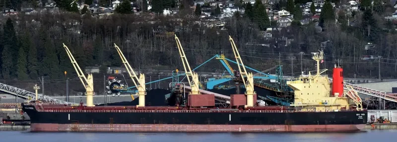CHIOS LUCK Bulk Carrier IMO 9643805 photo 2