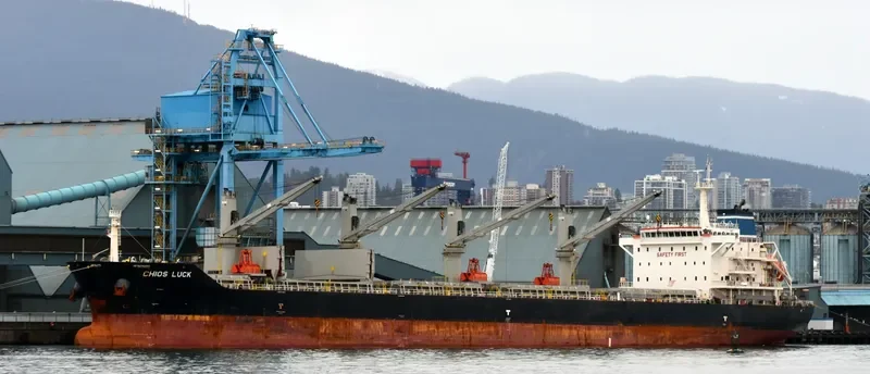 CHIOS LUCK Bulk Carrier IMO 9643805 photo 3