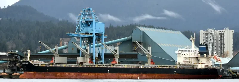 CHIOS LUCK Bulk Carrier IMO 9643805 photo 4