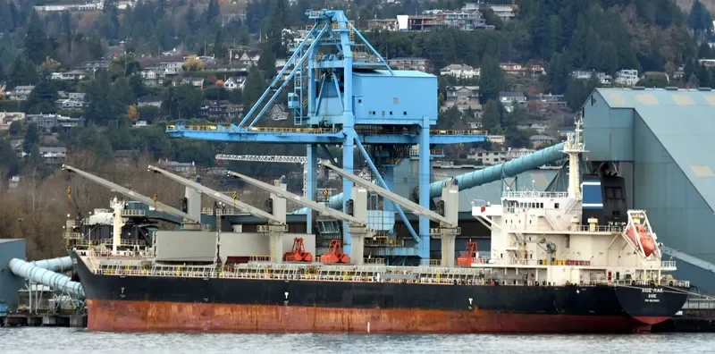 CHIOS LUCK Bulk Carrier IMO 9643805 photo 5