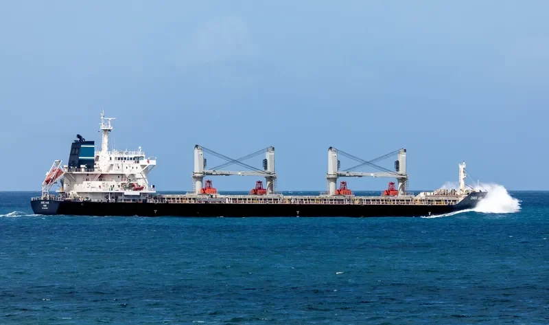 CHIOS LUCK Bulk Carrier IMO 9643805 photo 7