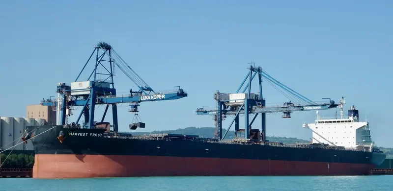 HARVEST FROST Bulk Carrier IMO 9643879 photo 2