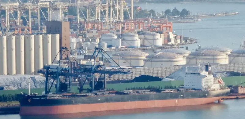 HARVEST FROST Bulk Carrier IMO 9643879 photo 3