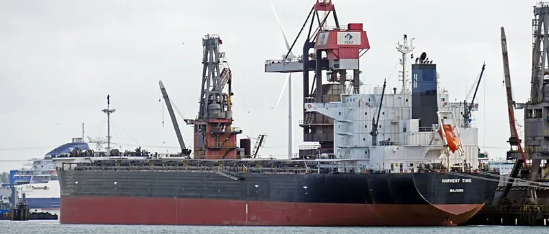 HARVEST TIME Bulk Carrier IMO 9643881 photo 6