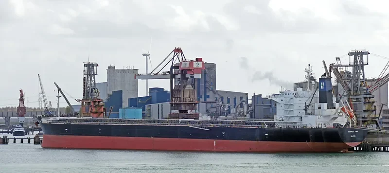 HARVEST TIME Bulk Carrier IMO 9643881 photo 10