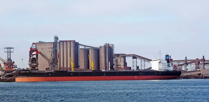 HARVEST RAIN Bulk Carrier IMO 9643893